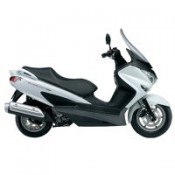 BURGMAN200