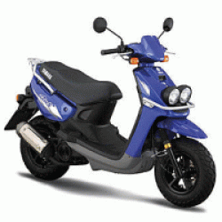 BWS100