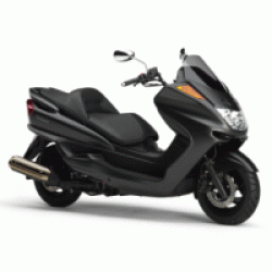 MAJESTY250