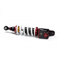 MALOSSI RS24/10-R 高性能後避震器組 C600 / C650 Sport 