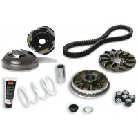 MALOSSI MHR傳動套件大全組 FORZA300