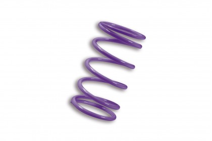 MALOSSI 離合器大彈簧 紫 Ø 70.75X105 MM - Ø WIRE 6.5 MM - K 20 AK550 (硬度加58%)