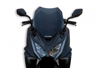 MALOSSI 燻黑前風鏡組 AK550
