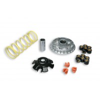 MALOSSI 傳動套件組 G-DINK300/TIGRA250