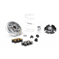 MALOSSI 傳動套件組 RTS R 135/165