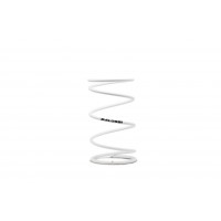 MALOSSI  離合器大彈簧 白 Ø 65X116 MM - Ø WIRE 4.5 MM - K 6 VESPA