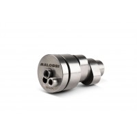 MALOSSI  凸輪軸套件組  GTS300 E5 HPE